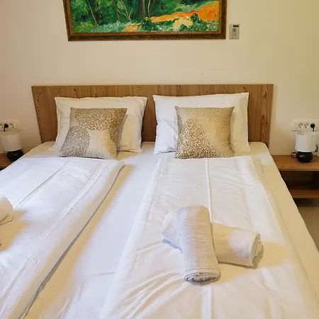 House Elipsa * Бовец